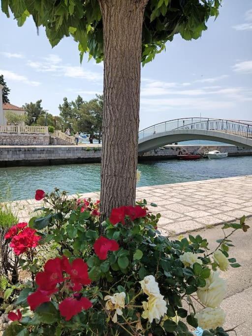 Ferienwohnung Nena In Crikvenica Extérieur photo